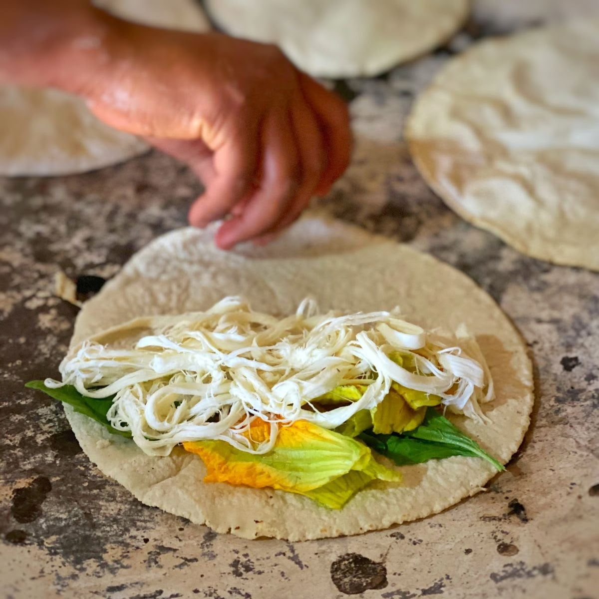 Queso Oaxaca deshebrado sobre tortilla de maíz